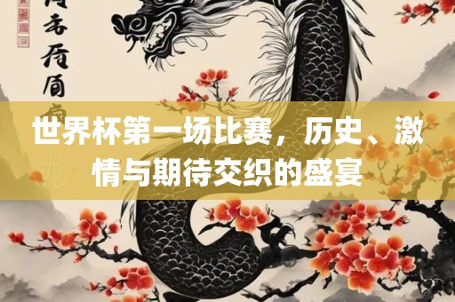 世界杯第一场比赛，历史、激情与期待交织的盛宴眉山市正发家政服务有限公司