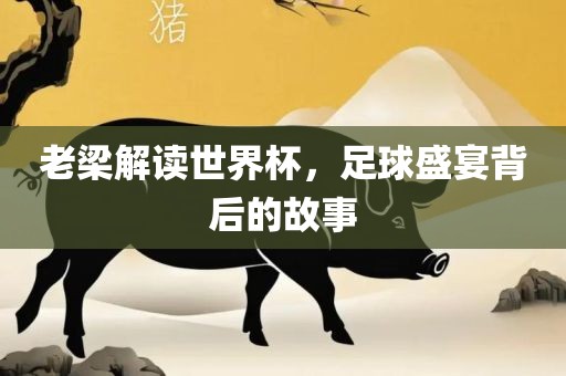 老梁解读世界杯，足球盛宴背后的故事