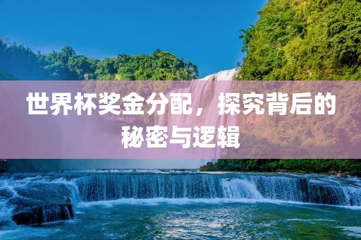 世界杯奖金分配，探究背后的秘密与逻辑