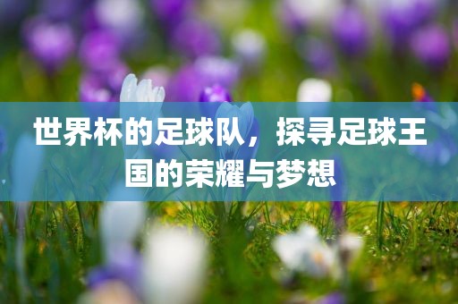 huangchongshun 第10页