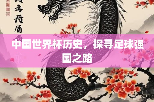 中国世界杯历史，探寻足球强国之路眉山市正发家政服务有限公司