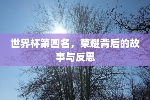 世界杯第四名，荣耀背后的故事与反思眉山市正发家政服务有限公司