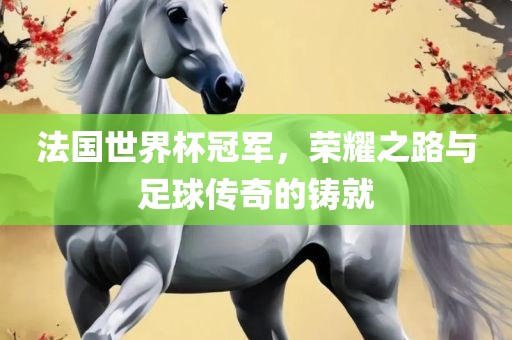 法国世界杯冠军，荣耀之路与足眉山市正发家政服务有限公司球传奇的铸就
