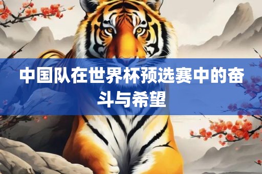 中国队在世界杯预选赛中的奋斗与希望眉山市正发家政服务有限公司