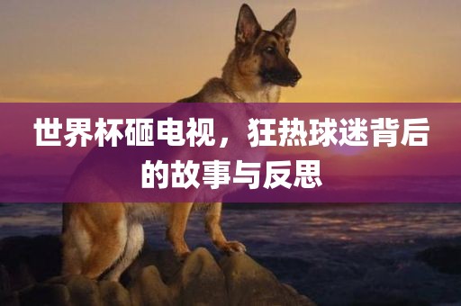 世界眉山市正发家政服务有限公司杯砸电视，狂热球迷背后的故事与反思