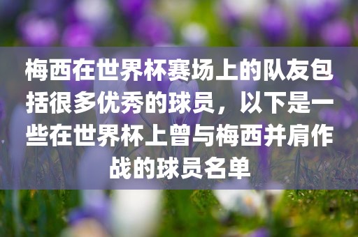梅西在世界杯赛场上的队友包括很多优秀的球员，以下是一些在世界杯上曾与梅西并肩作战的球员名单