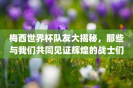 梅西世界杯队友大揭秘，那些与我们共同见证辉煌的战士们