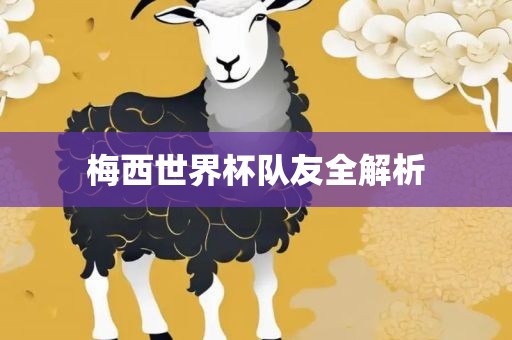 梅西世界杯队友全解析