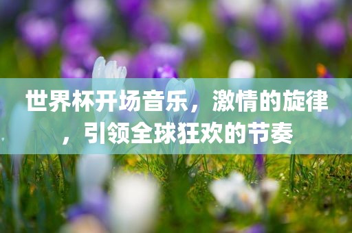 世界杯开场音乐，激情的旋律，引领全球狂欢的节奏