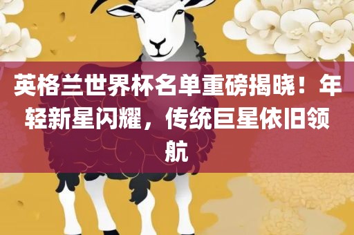 英格兰世界杯名单重磅揭晓！年轻新星闪耀，传统巨星依旧领航眉山市正发家政服务有限公司