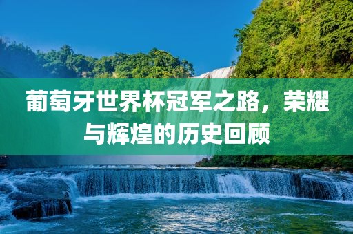 葡萄牙世界杯冠军之路，荣耀与辉煌的历史回顾眉山市正发家政服务有限公司