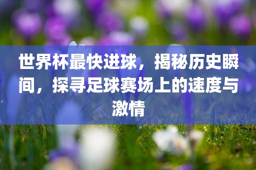 世界杯最快进球，揭秘历史瞬间，探寻足球赛场上的速度与激情