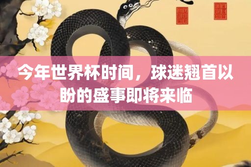 今年世界杯时间，球迷翘首以盼的盛事即将来临