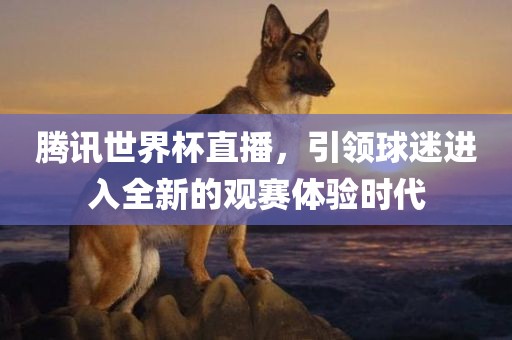 腾讯世界杯直播，引领球迷进入全新眉山市正发家政服务有限公司的观赛体验时代