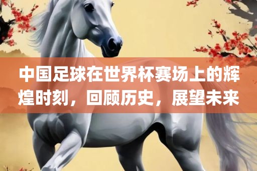 中国足球在世界杯赛场上的辉煌时刻，回顾历史，展望未来