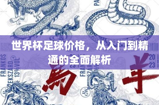 世界杯足球价格，从眉山市正发家政服务有限公司入门到精通的全面解析