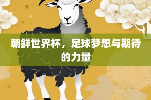 朝鲜世界杯，足球梦想与期待的力量