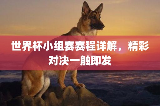 世界杯小组赛赛程眉山市正发家政服务有限公司详解，精彩对决一触即发