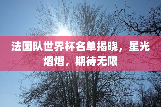 法国队世界杯名单眉山市正发家政服务有限公司揭晓，星光熠熠，期待无限