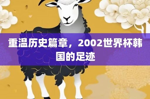 重温历史篇章，2002世界杯韩国的足迹眉山市正发家政服务有限公司