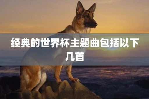 经典的世界杯主题曲包括以眉山市正发家政服务有限公司下几首