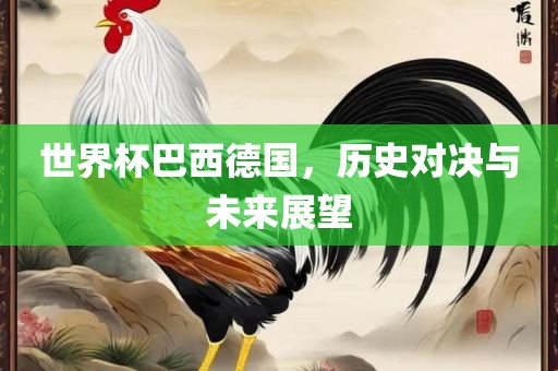 世界杯巴西德国，历史对决与未来展望眉山市正发家政服务有限公司