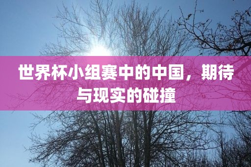 世界杯小组赛中的中国，期待与现实的碰撞眉山市正发家政服务有限公司