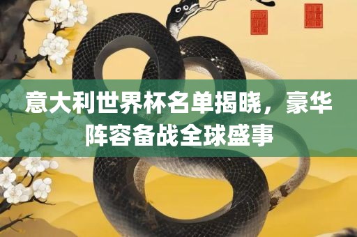 意大利世界杯名单揭晓，豪华阵容备战全球盛事眉山市正发家政服务有限公司