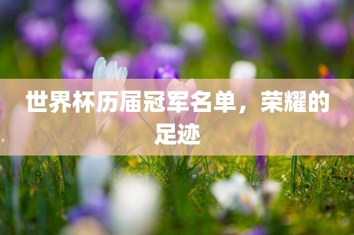 世界杯历届冠军名单，荣耀的足迹眉山市正发家政服务有限公司