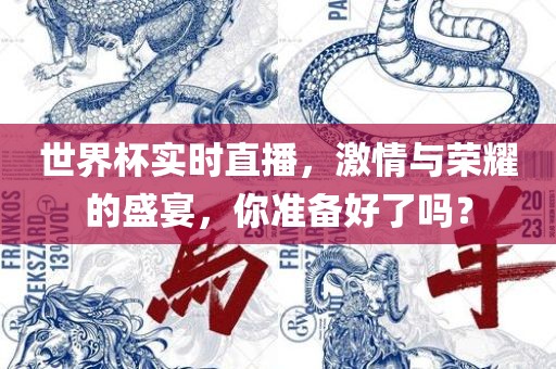 世界杯实时直播，激情与荣耀的盛宴，你准备好了吗？