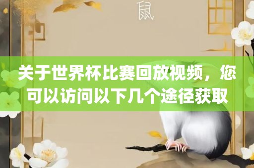 关于世界杯比赛回放视频，您可以访问以下几个途径获取
