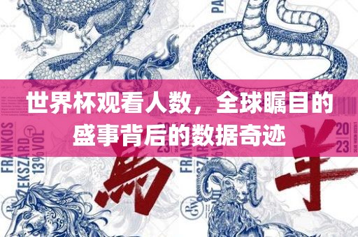 世界杯观看人数，全球瞩目的盛事背后的数据奇迹