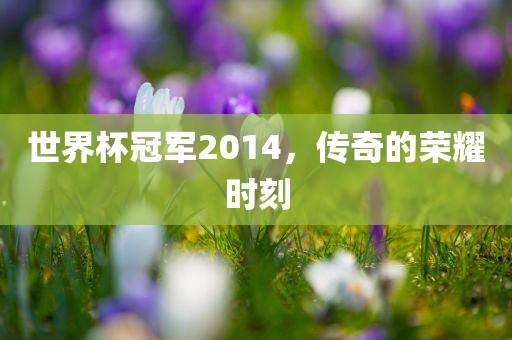 世界杯冠军2014，传奇的荣耀时刻眉山市正发家政服务有限公司