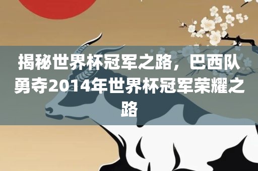 揭秘世界杯冠军之路，巴西队勇夺2014年世界杯冠军荣耀之路