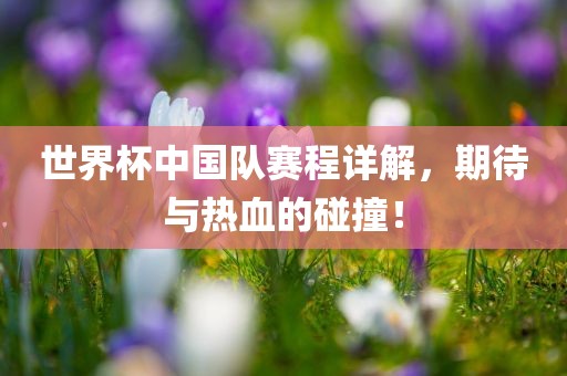 世界杯中国队赛程详解，期待与热血的碰撞！眉山市正发家政服务有限公司