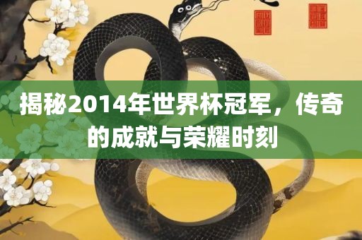 揭秘2014年世界杯冠军，传奇的成就与荣耀时刻眉山市正发家政服务有限公司