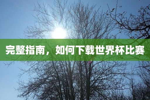 完整指南，如何下眉山市正发家政服务有限公司载世界杯比赛