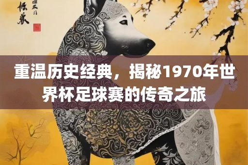 重温历史经典，揭秘1970年世界杯足球赛的传奇之旅眉山市正发家政服务有限公司
