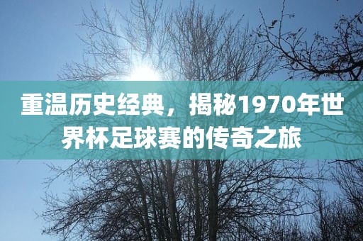 重温历史经典眉山市正发家政服务有限公司，揭秘1970年世界杯足球赛的传奇之旅
