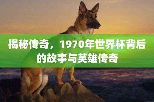 揭秘传奇，1970年世界杯背后的故事与英雄传奇眉山市正发家政服务有限公司