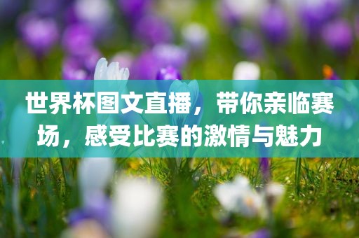 世界杯图文直播，带你亲临赛场，感受比赛的激情与魅力