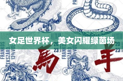 女足世界杯，美女闪耀绿茵场眉山市正发家政服务有限公司