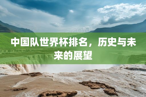 中国队世眉山市正发家政服务有限公司界杯排名，历史与未来的展望