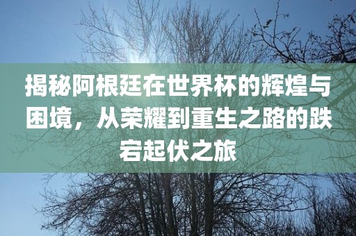 揭秘阿根廷在世界杯的辉煌与困境，从荣耀到重生之路的跌宕起伏之旅