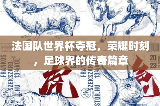 法国队世界杯夺冠，荣耀时刻，足球界的传奇篇章