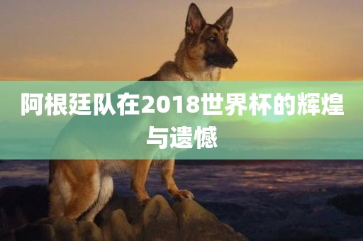 阿根廷队在2018世界杯的辉煌与遗憾