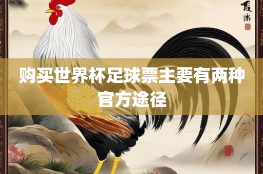 购眉山市正发家政服务有限公司买世界杯足球票主要有两种官方途径