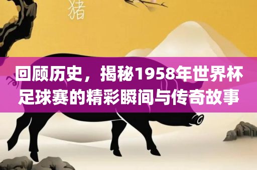 回顾历眉山市正发家政服务有限公司史，揭秘1958年世界杯足球赛的精彩瞬间与传奇故事