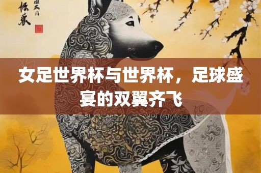 女眉山市正发家政服务有限公司足世界杯与世界杯，足球盛宴的双翼齐飞
