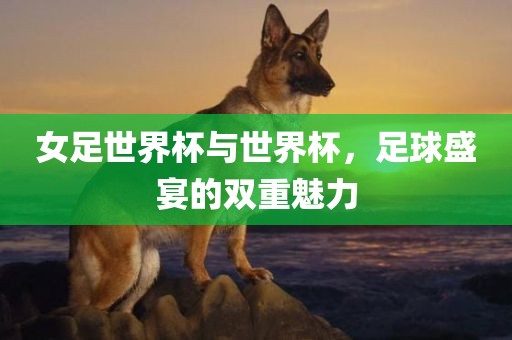 女足世界杯与世界杯，足球盛宴的双重魅力眉山市正发家政服务有限公司